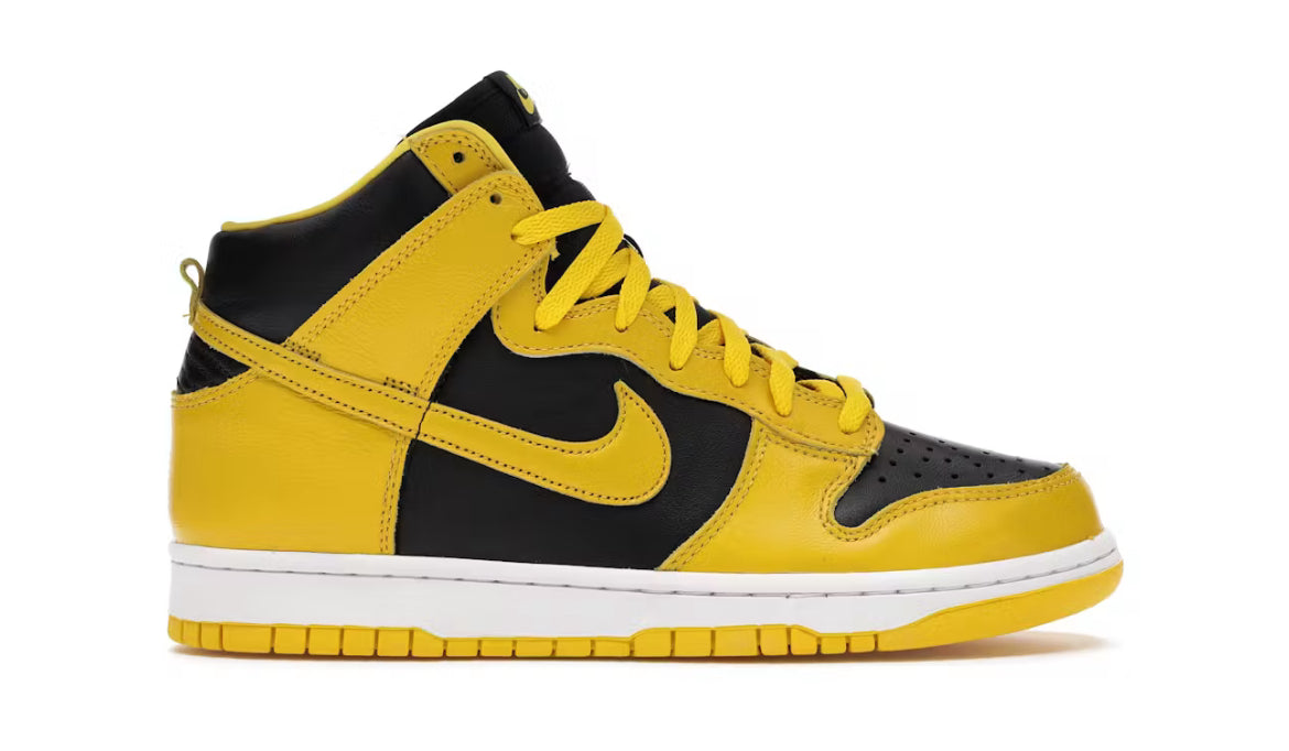 Nike Dunk High Iowa