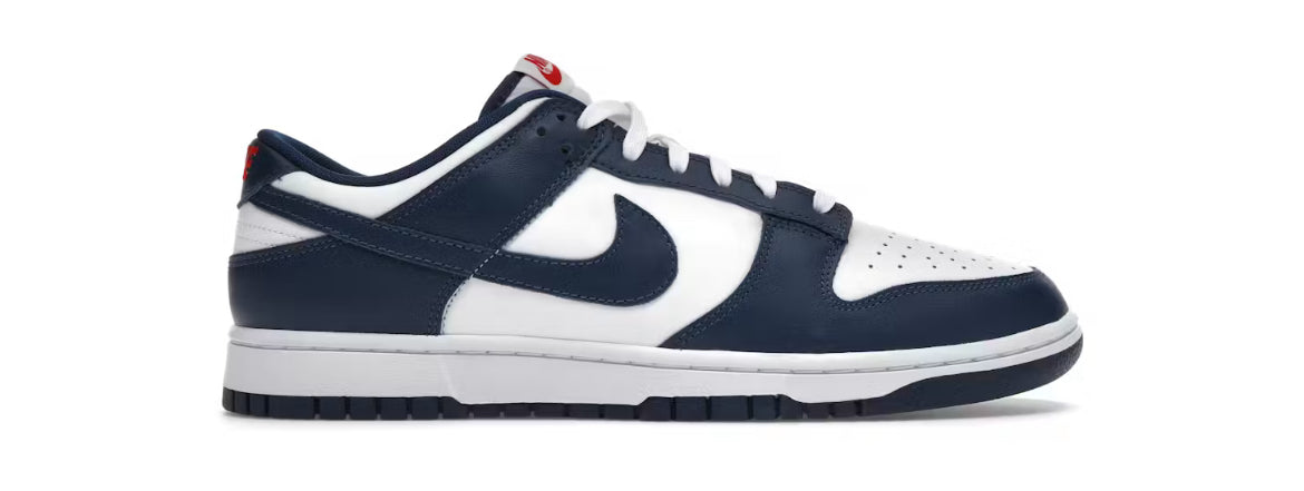 Nike Dunk Low Valerian Blue