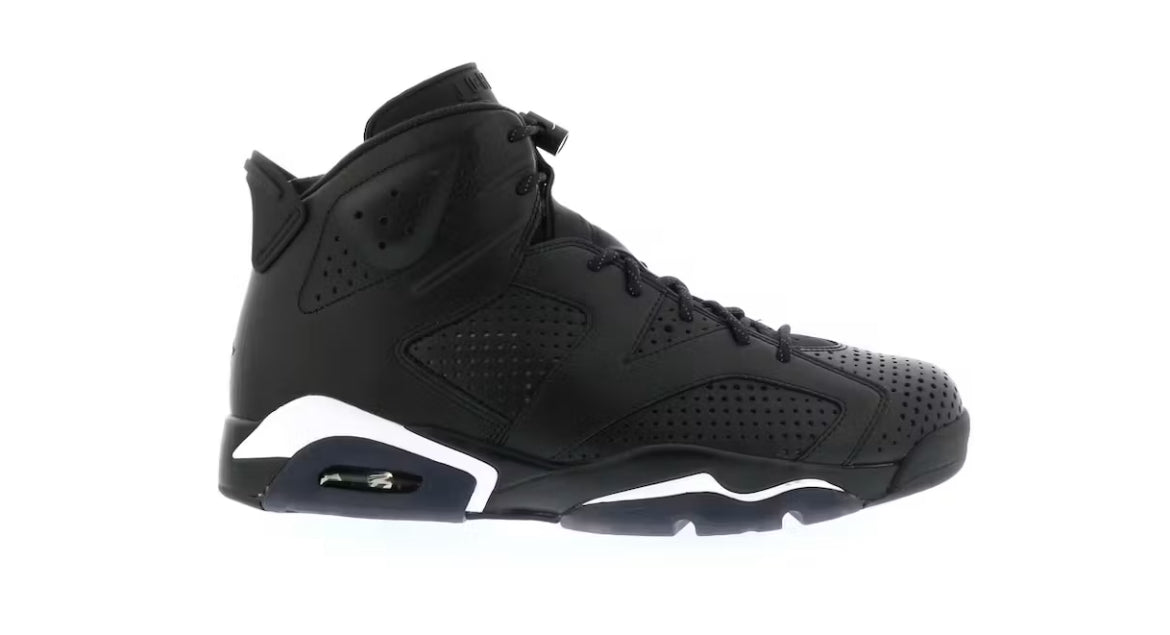 Jordan 6 Black Cat